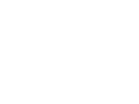 writers guild